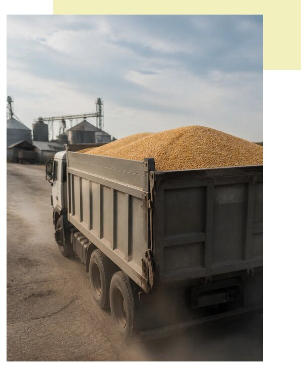 Перевозка сельхозпродукции навалом в Новотроицк по цене от 3140 р. | Агросервис-Нвт