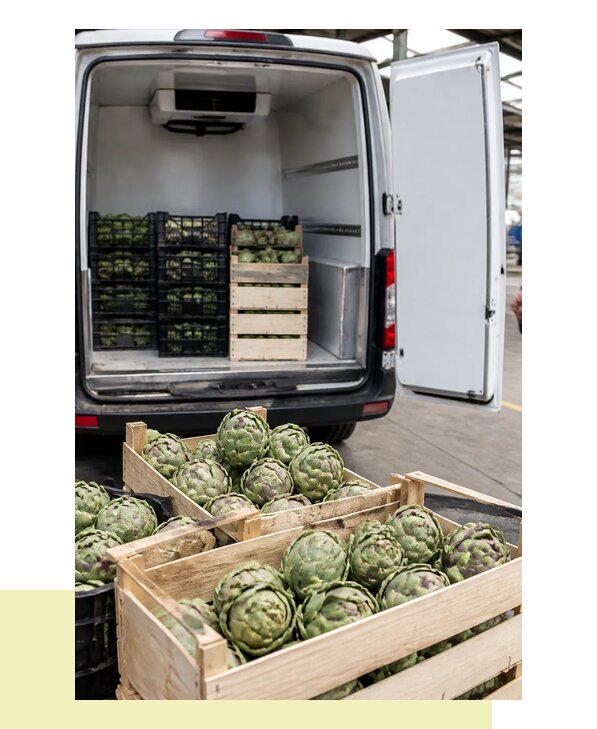 Перевозка артишоков в Новотроицк с соблюдением температурного режима
