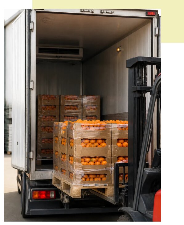 Перевозка апельсинов в Новотроицк по цене от 5234 р. | Агросервис-Нвт